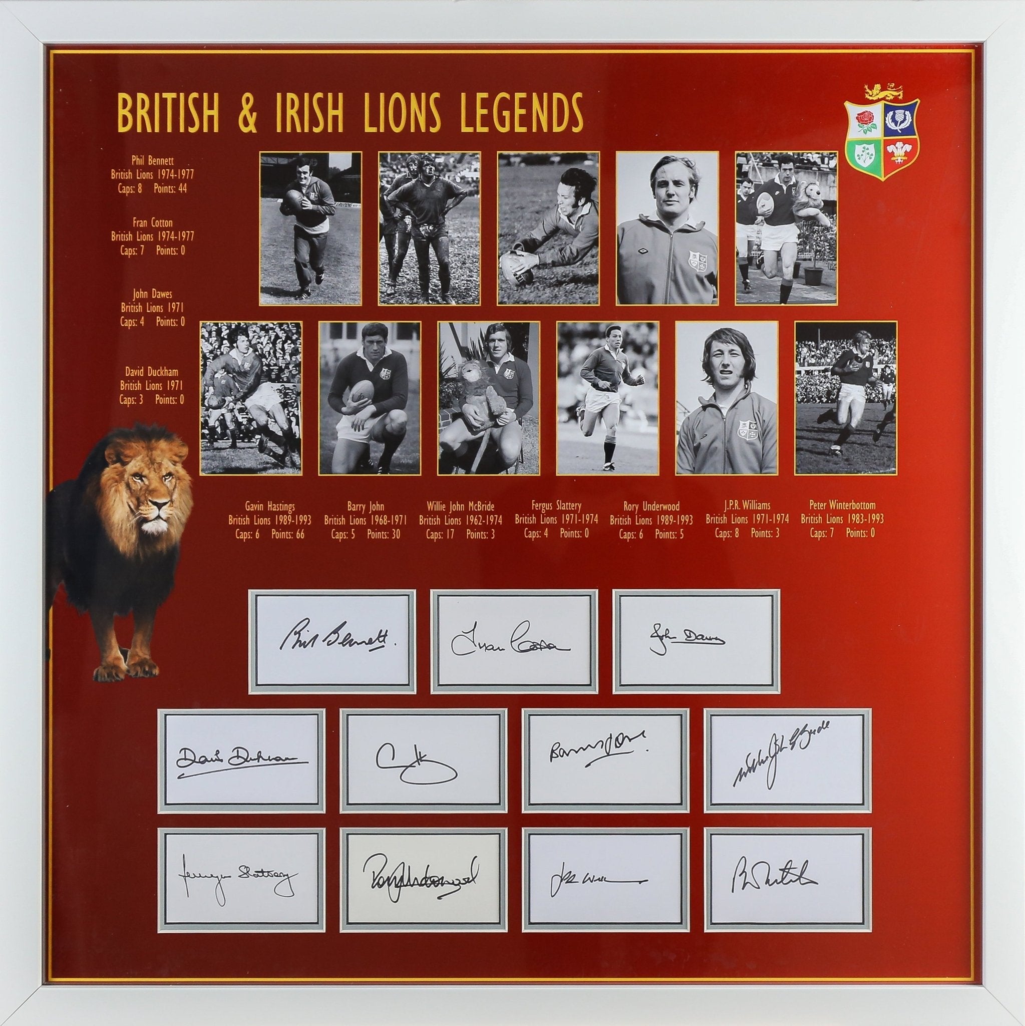 British and Irish Legends 11 Signed Whitecard Framed Display - Memorabilia Framers Shop
